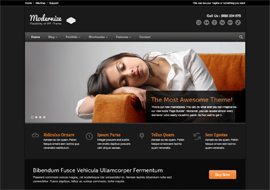 Modernize – Responsive WordPress Theme