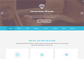 Just One – Responsive Parallax WordPress Theme