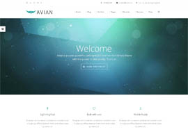 Avian – Responsive Multi-Purpose WordPress Theme