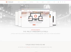 Torque – Responsive WordPress Multi-Purpose Theme